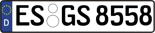 ES-GS8558