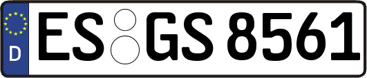 ES-GS8561