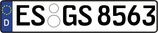 ES-GS8563