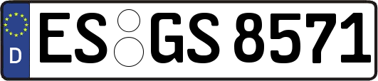 ES-GS8571