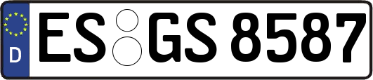 ES-GS8587