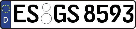 ES-GS8593