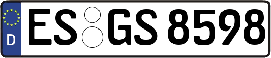 ES-GS8598