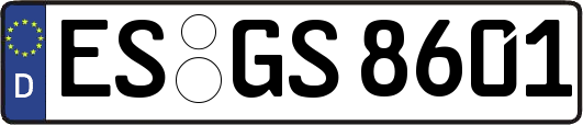 ES-GS8601