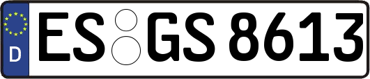 ES-GS8613
