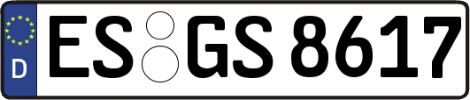 ES-GS8617