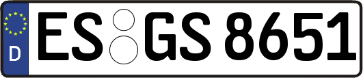 ES-GS8651
