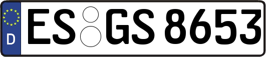 ES-GS8653