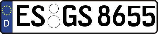 ES-GS8655
