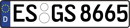 ES-GS8665