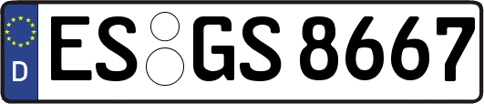 ES-GS8667