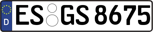 ES-GS8675