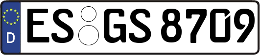ES-GS8709