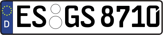 ES-GS8710