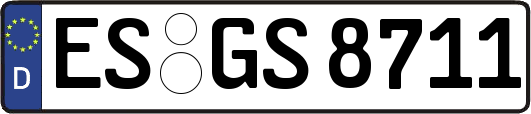 ES-GS8711