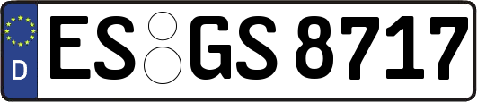 ES-GS8717