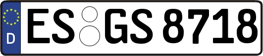 ES-GS8718