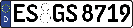 ES-GS8719