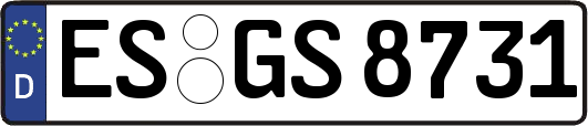 ES-GS8731
