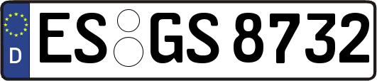 ES-GS8732