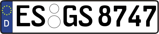 ES-GS8747