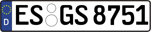 ES-GS8751