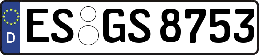 ES-GS8753
