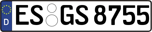 ES-GS8755