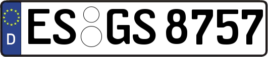 ES-GS8757