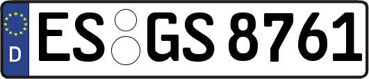 ES-GS8761