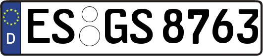 ES-GS8763