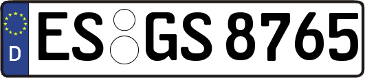 ES-GS8765