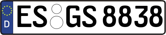 ES-GS8838