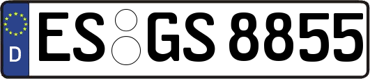 ES-GS8855
