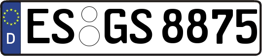 ES-GS8875