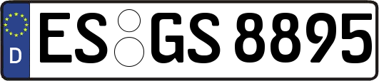 ES-GS8895