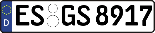 ES-GS8917