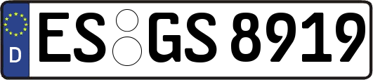 ES-GS8919