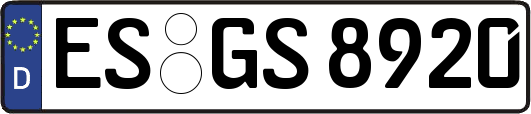 ES-GS8920