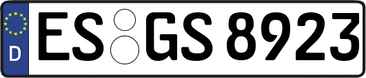 ES-GS8923