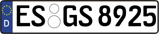 ES-GS8925