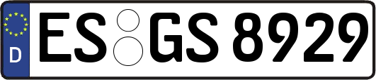 ES-GS8929