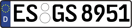 ES-GS8951
