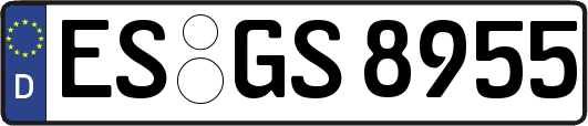 ES-GS8955
