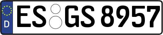 ES-GS8957