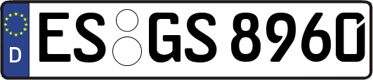 ES-GS8960