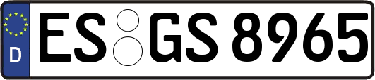 ES-GS8965