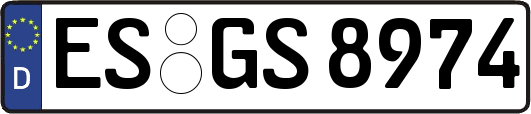 ES-GS8974