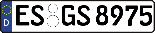 ES-GS8975