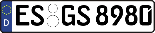ES-GS8980